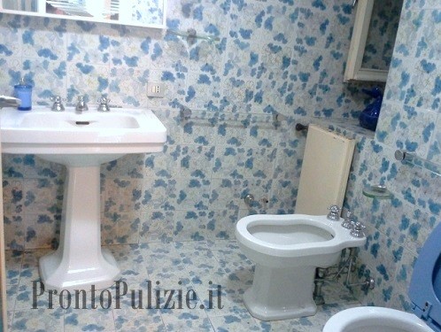 Impresa di Pulizie a Albano Laziale , Roma - Impresa di pulizie Roma